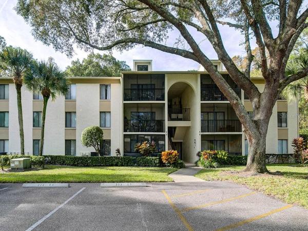 PINE RIDGE AT LAKE TARPON VILLAGE