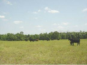 Farm Nonsub - фото