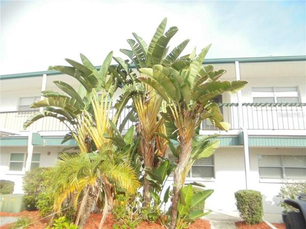 SEMINOLE COUNTRY GREEN CONDO
