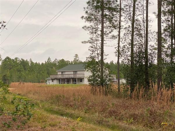 VOLUSIAN FOREST CLUB #13