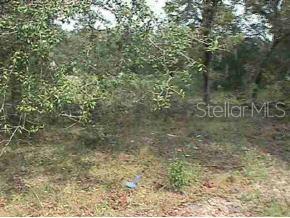 Lake Tropicana Ranchettes