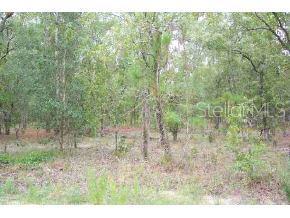 Lake Tropicana Ranchettes