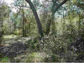 Acrg Nonsub - фото