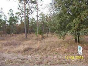 Lake Tropicana Ranchettes