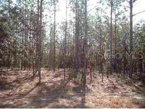 Lake Tropicana Ranchettes