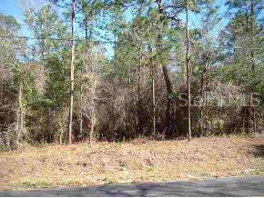 Lake Tropicana Ranchettes