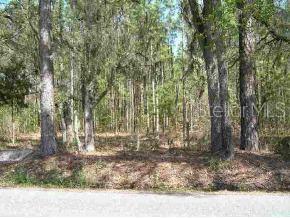 Spring Hammock Acres