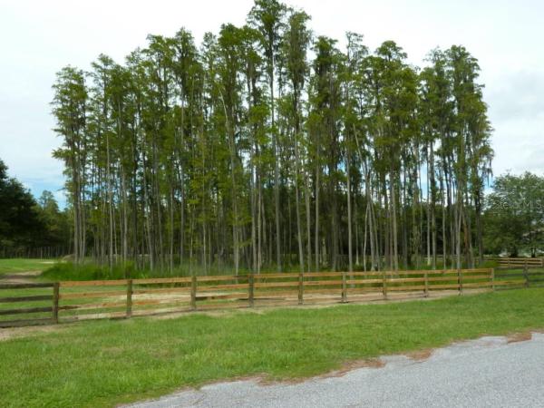 PASCO TRAILS UNIT 01