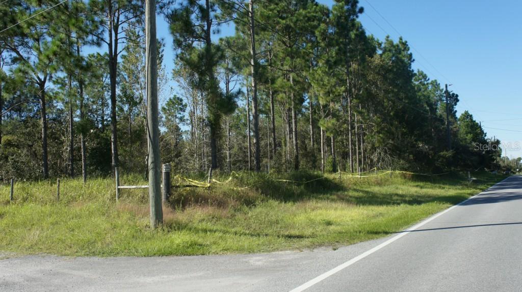 ACREAGE - фотография ACREAGE - фото