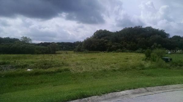 ALAFIA RIDGE ESTATES