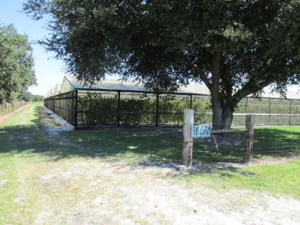 ALDERMAN-CARLTON RANCHETTES