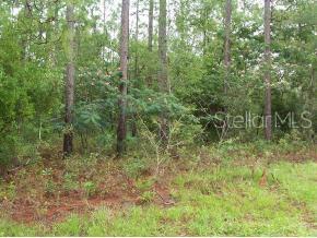 Lake Tropicana Ranchettes