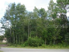 Lake Tropicana Ranchettes