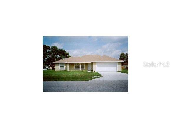 Orange Blsm Hls - фото