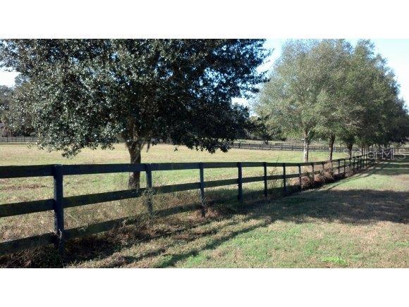 Pinnacle Park - фото