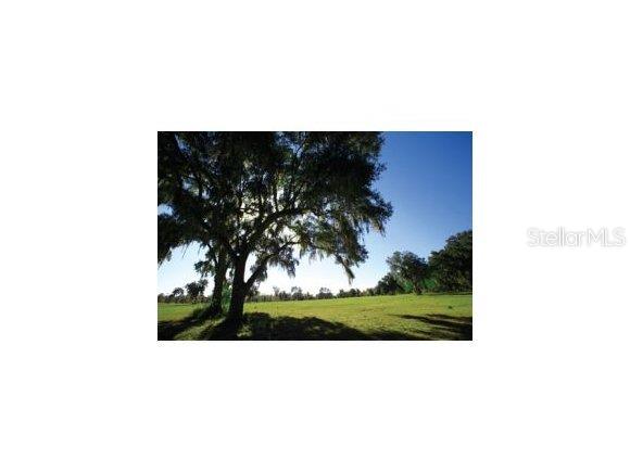 Acrg Nonsub - фото