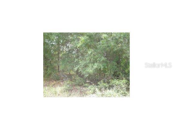 Lake Tropicana Ranchettes