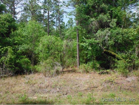 Lake Tropicana Ranchettes