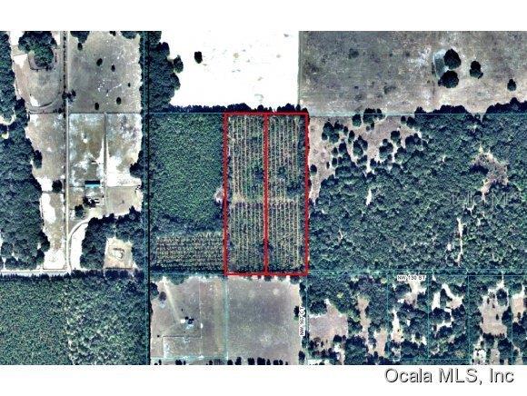 Acrg Nonsub - фото