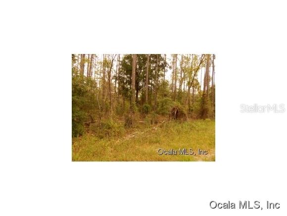 Lake Tropicana Ranchettes