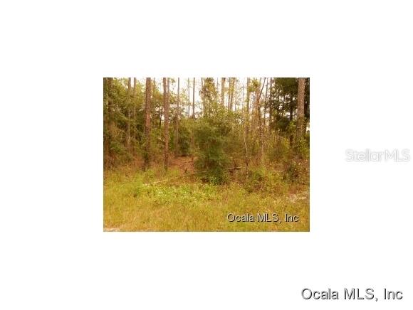 Lake Tropicana Ranchettes