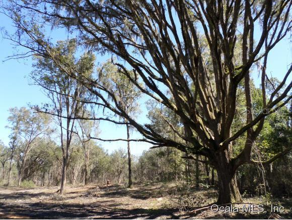 Vac Land Nonsub - фото