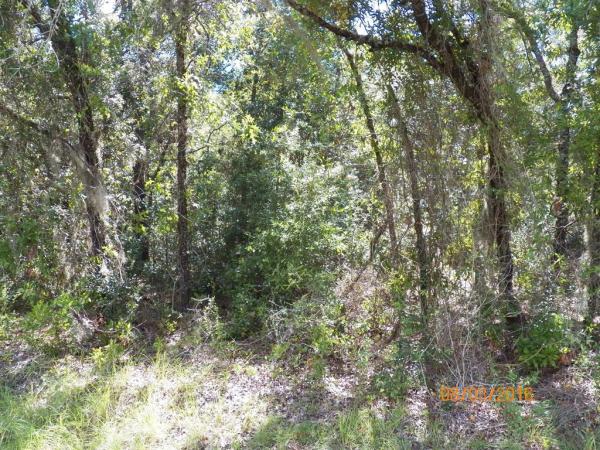 Lake Tropicana Ranchettes