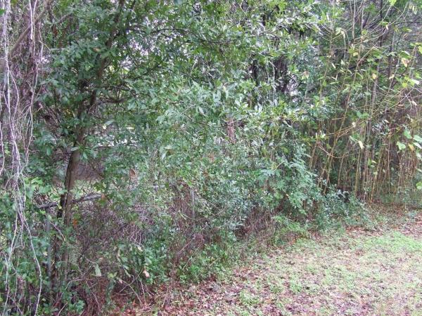 Rolling Hills Unit 5