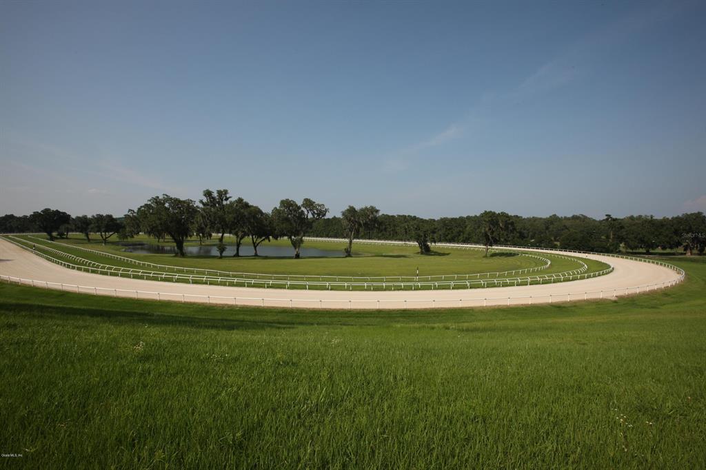 Acrg Nonsub - фото