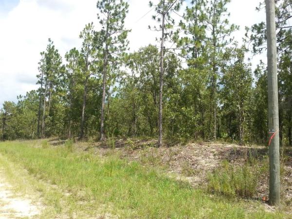 Rolling Hills Unit 1-A