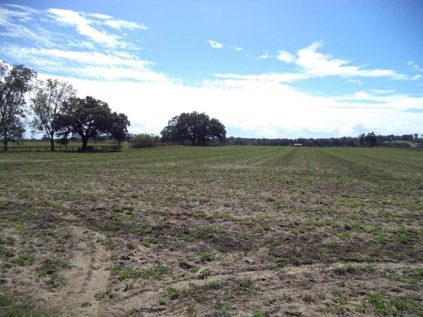 Meadow Rdg Rances So