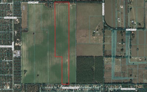 FL Tung Oil Groves Unit 1