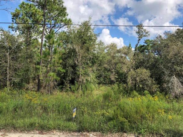 Lake Tropicana Ranchettes