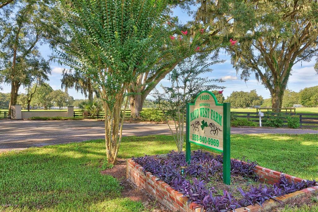 Farm Nonsub - фото