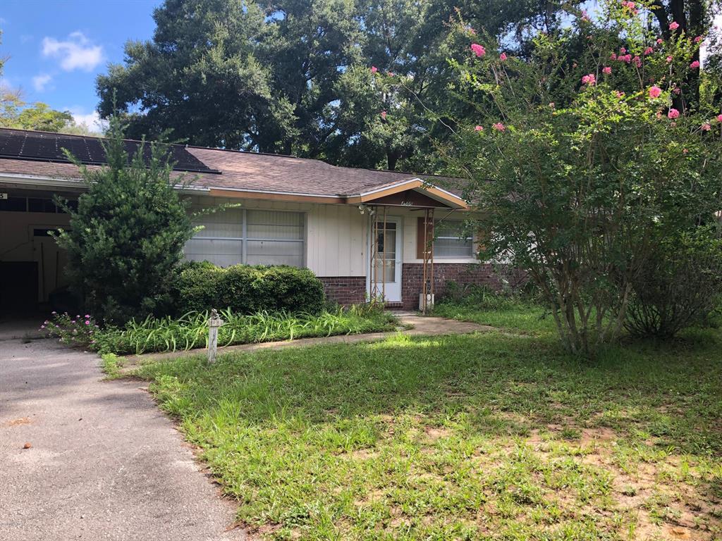 Spring Highland - фото