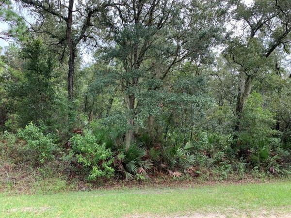 Rolling Hills Unit 1-A