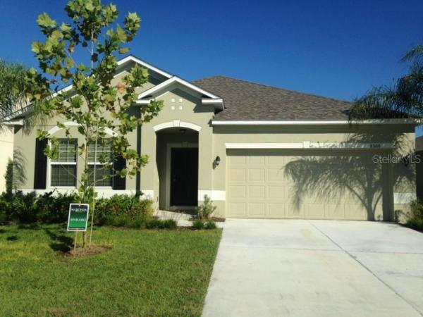 TAVARES MARTINS GROVE