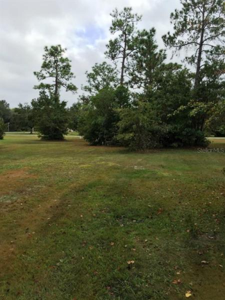 ORANGE BLOSSOM ACRES