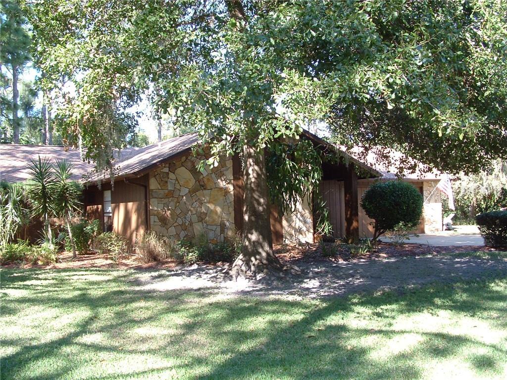 NORTHWOOD - фото