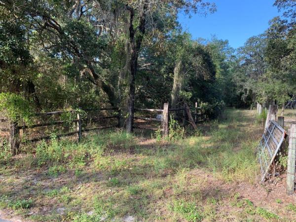 Lake Tropicana Ranchettes