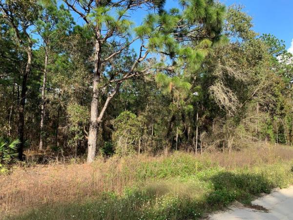 Rolling Hills Unit 2