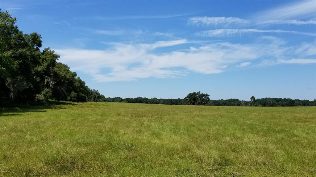 Comm Nonsub - фото