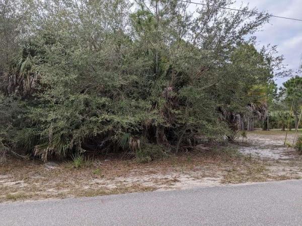 PORT CHARLOTTE SUB 12