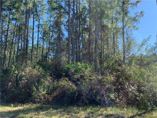 PORT CHARLOTTE SUB 33