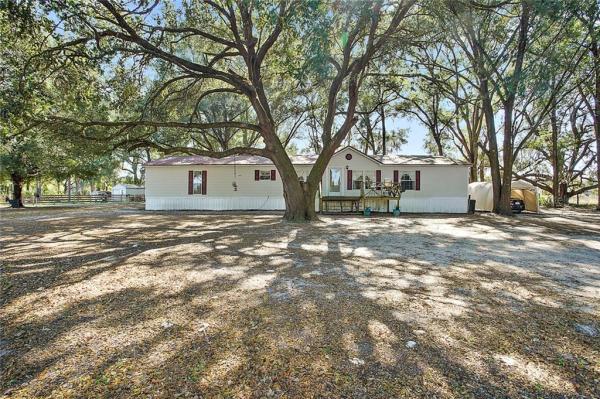 SILVER SPGS ACRES INC