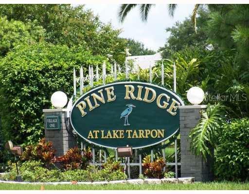 PINE RIDGE AT LAKE TARPON VILLAGE