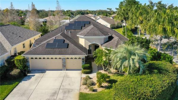 PLANTATION PALMS PH 01