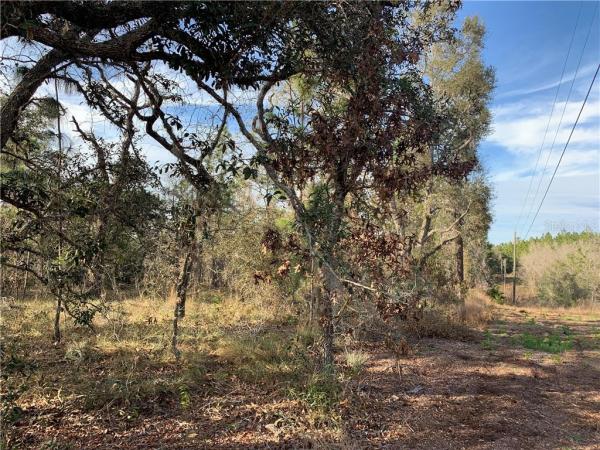 VIDALIS/MARKS-CLASS 1 SUB