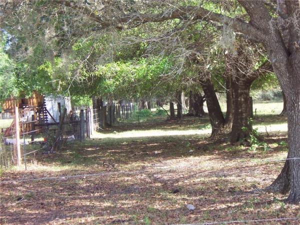 PEACEFUL PINE ACRES 16