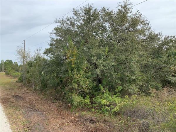 CHARLOTTE RANCHETTES 211 & 21